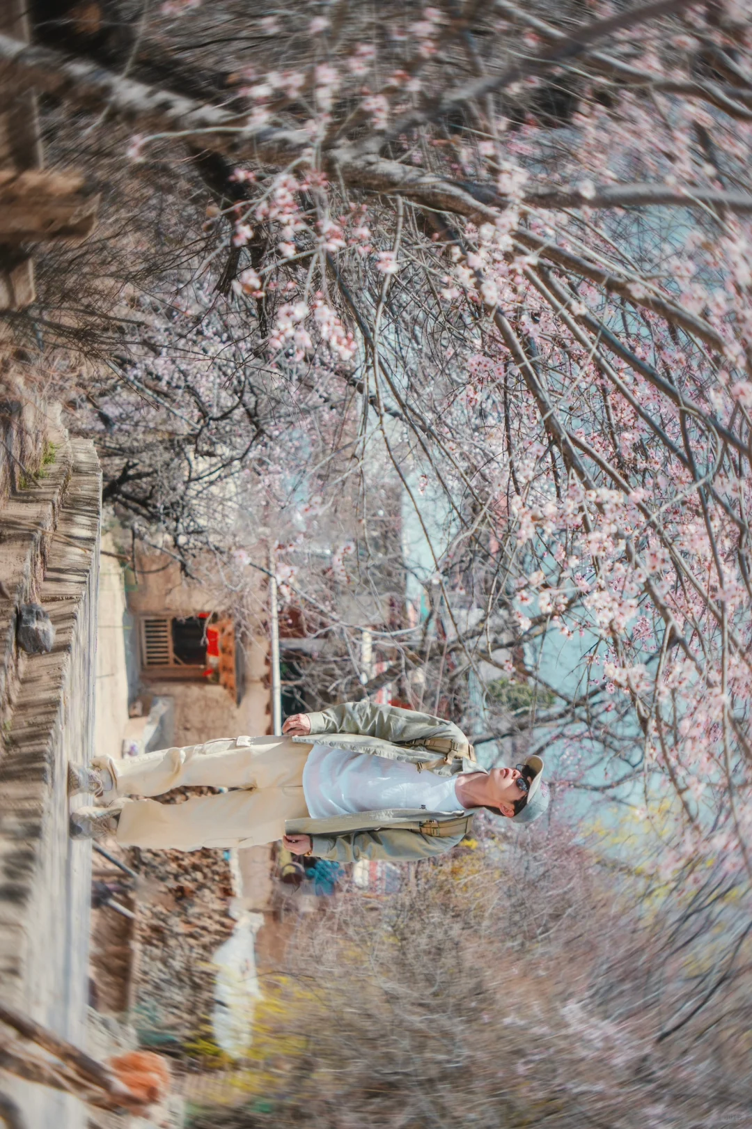 来香格里拉告别景点 来桃源秘境约拍吧❗️