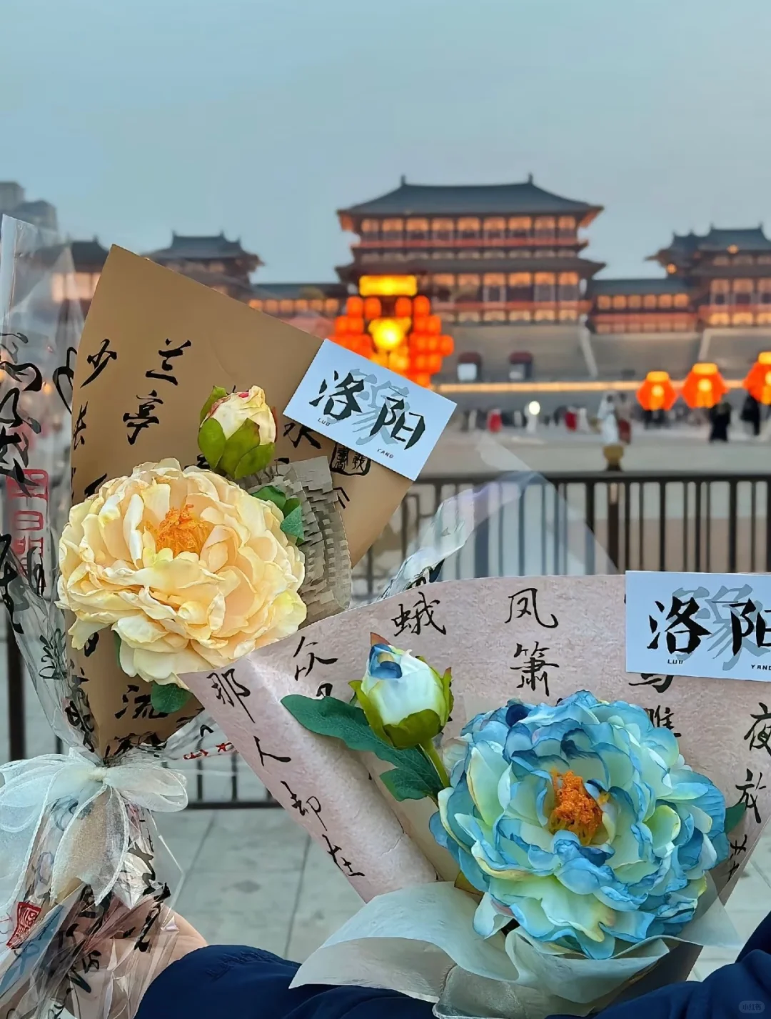 四月我要去洛阳谁也拦不住我🐛