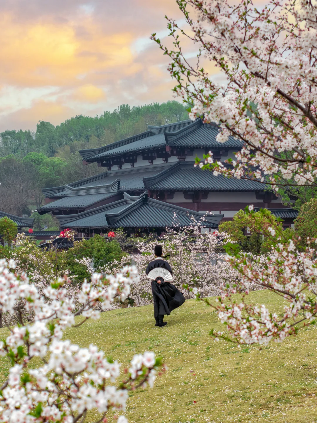 比起鼋头渚人挤人‼️我更爱这座樱花之城🌸