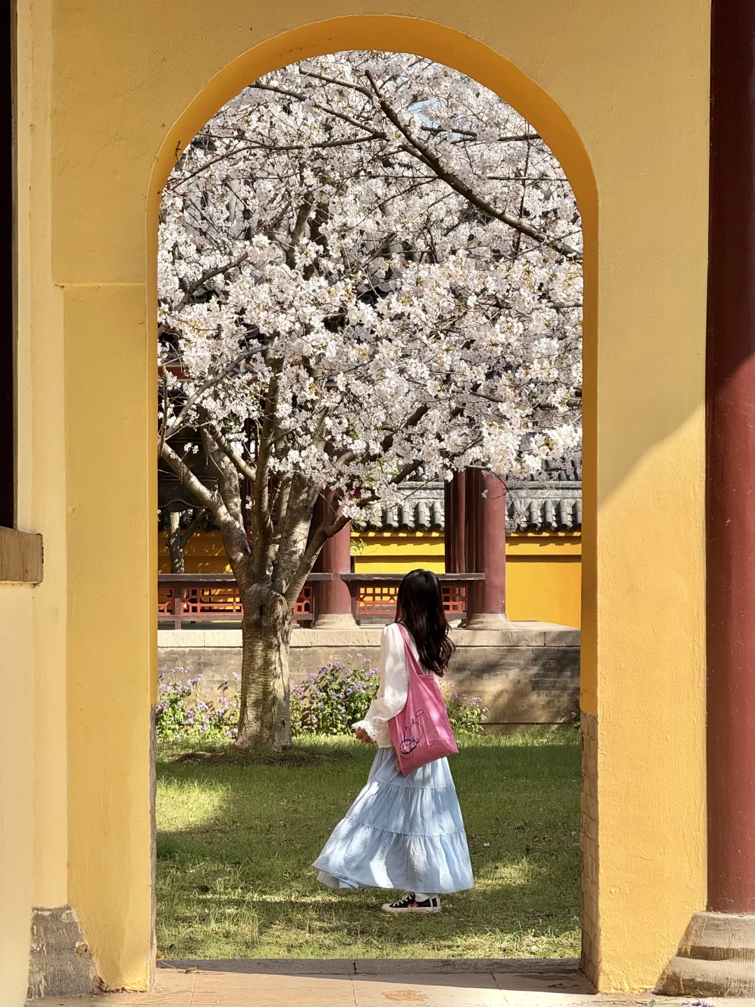 迄今为止最让我震撼的樱花寺庙出现了…