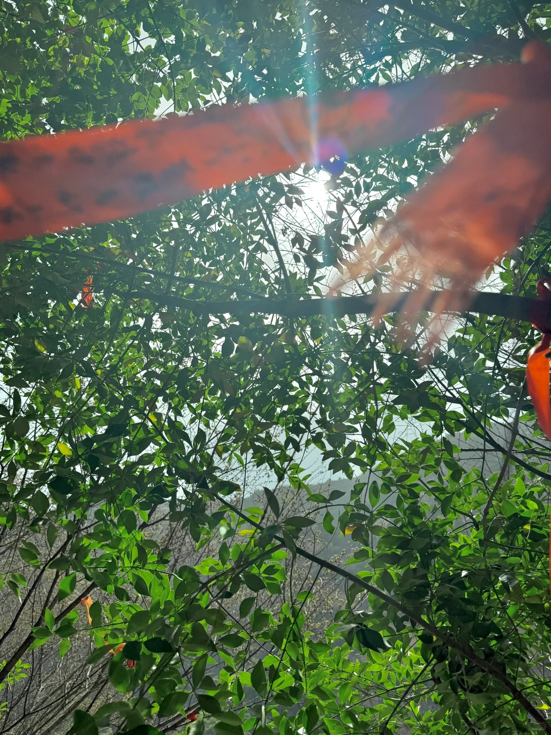 今天的郑国渠 没白来!!!