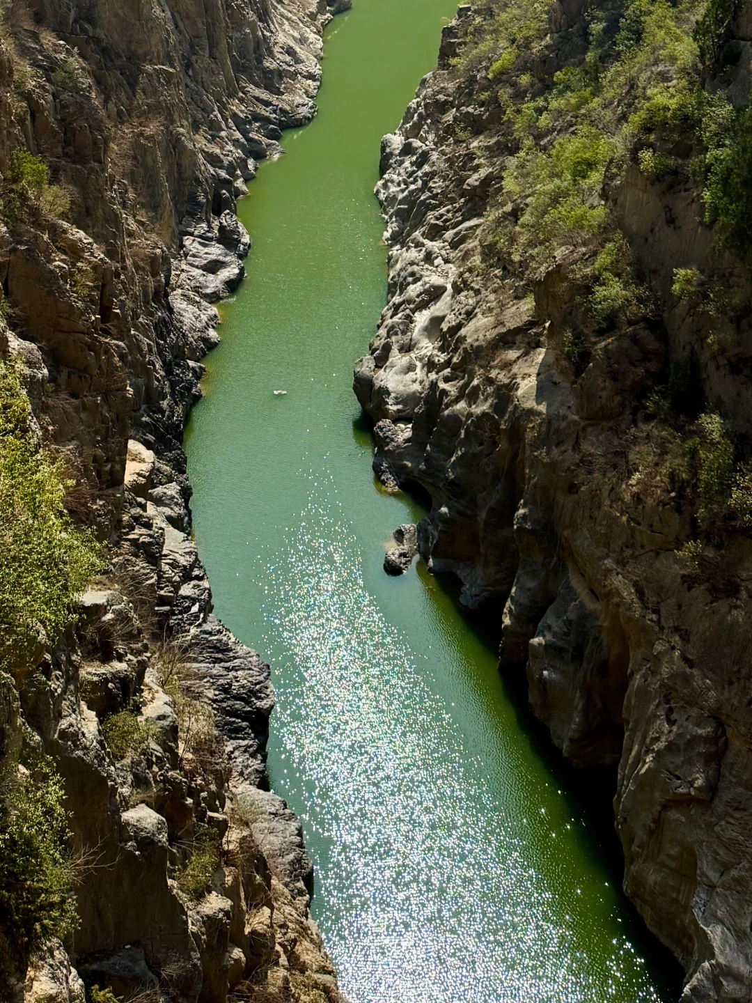 西安1h上春山!这里的春日限定美到犯规!