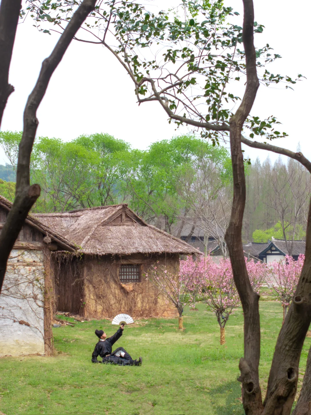 比起鼋头渚人挤人‼️我更爱这座樱花之城🌸