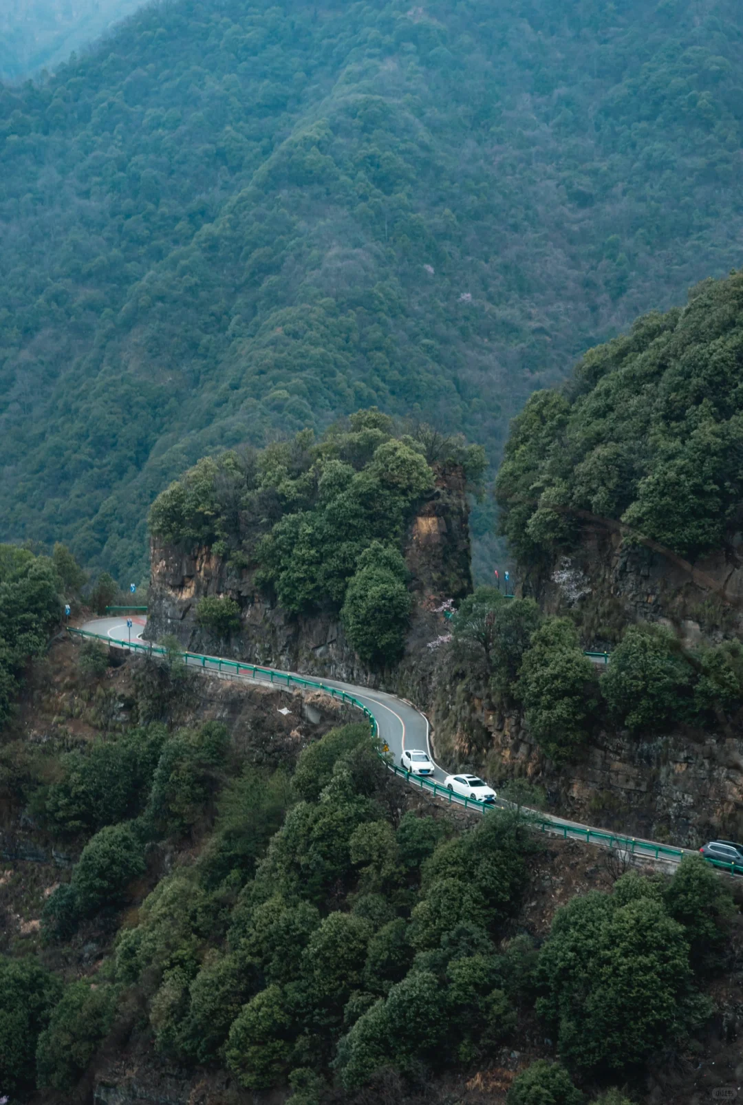 雷军都来打call:皖南这条天路有何魅力