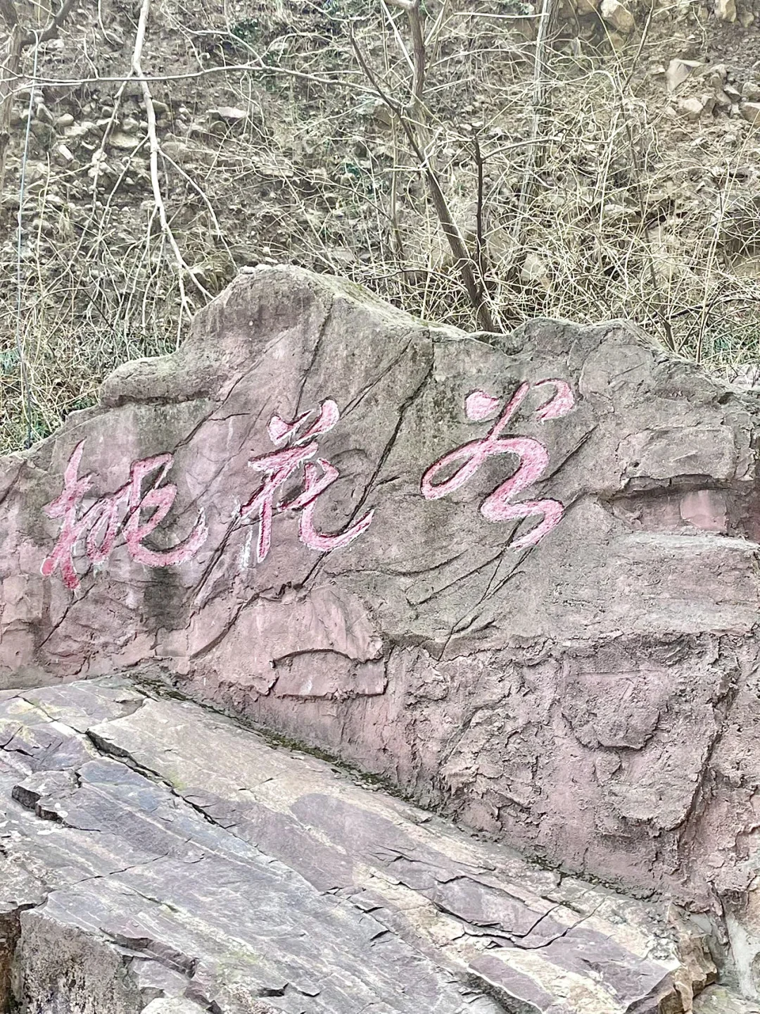 🌸 误入桃花谷,现实版仙侠世界!🌸