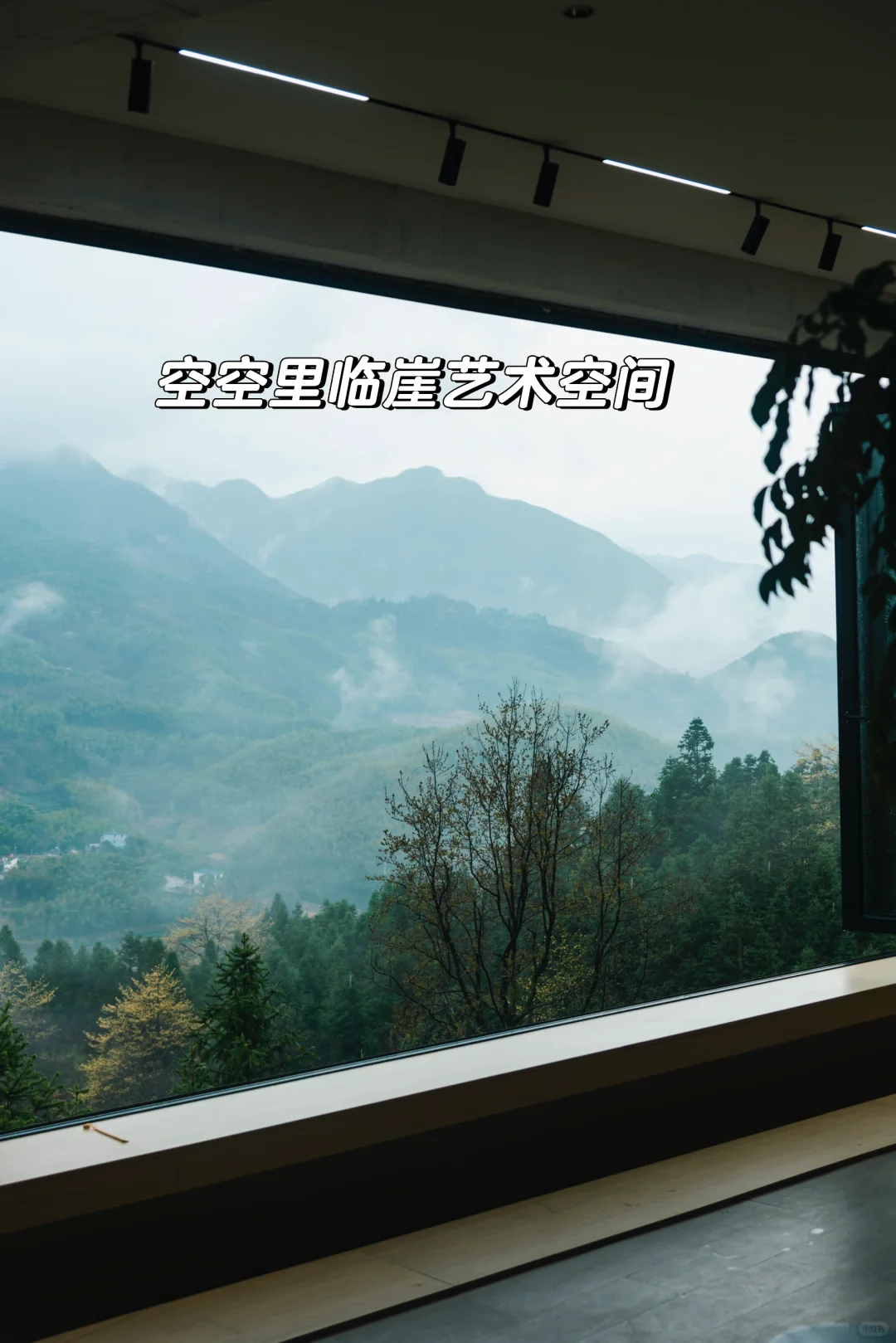 雷军都来打call:皖南这条天路有何魅力