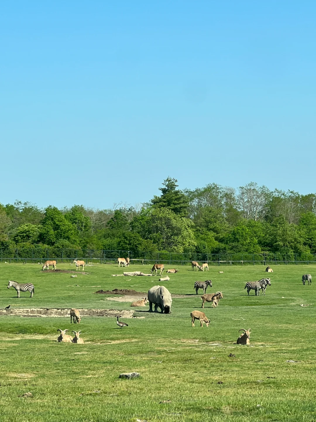 🇨🇦 Toronto · 周围景点红黑榜