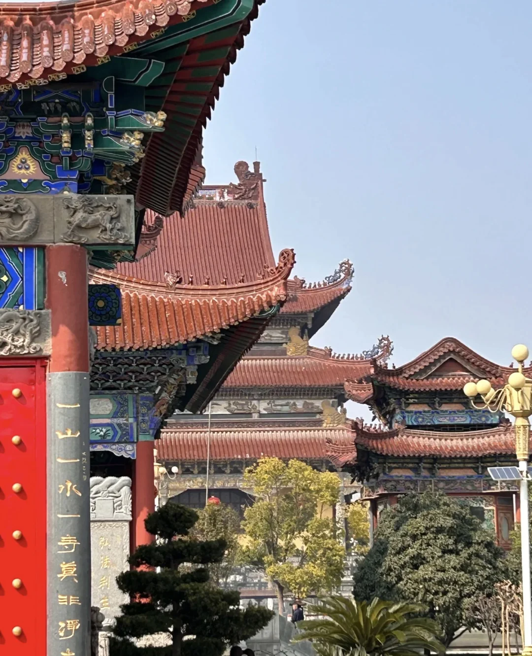 春风拂面 杨柳依依