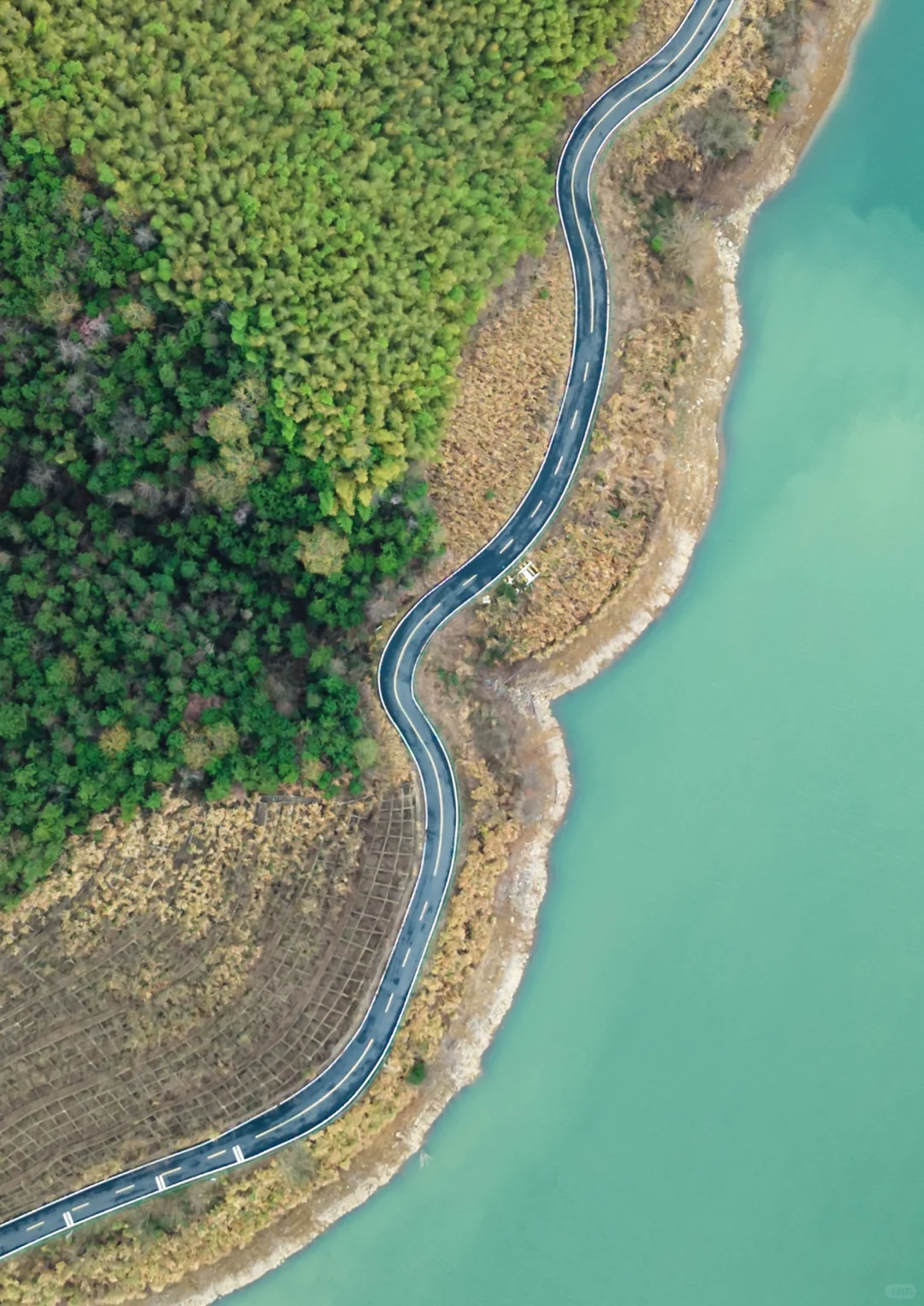 雷军都来打call:皖南这条天路有何魅力