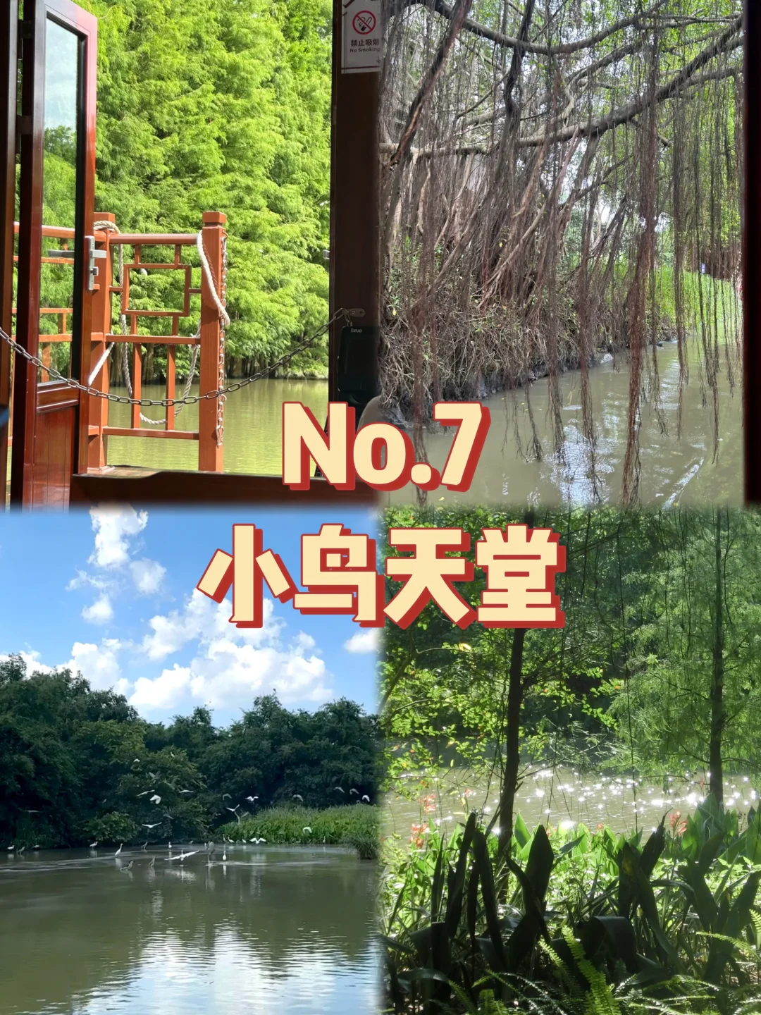 江门必打卡九个景点❗❗