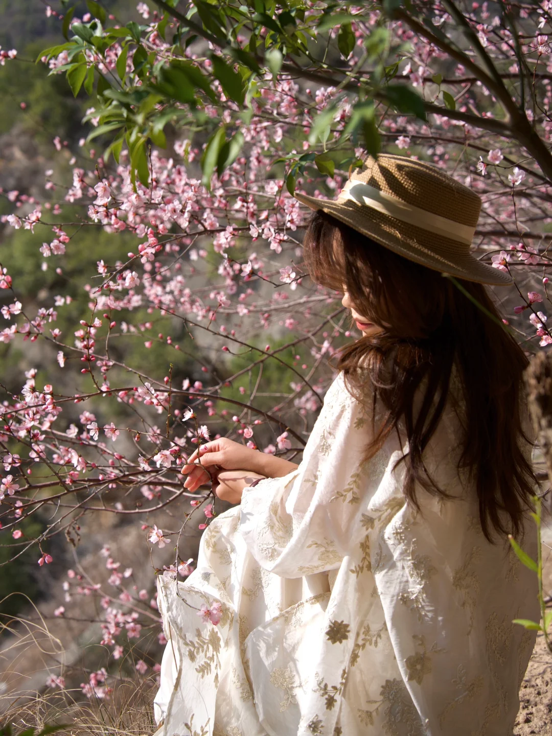 西安1h上春山!这里的春日限定美到犯规!