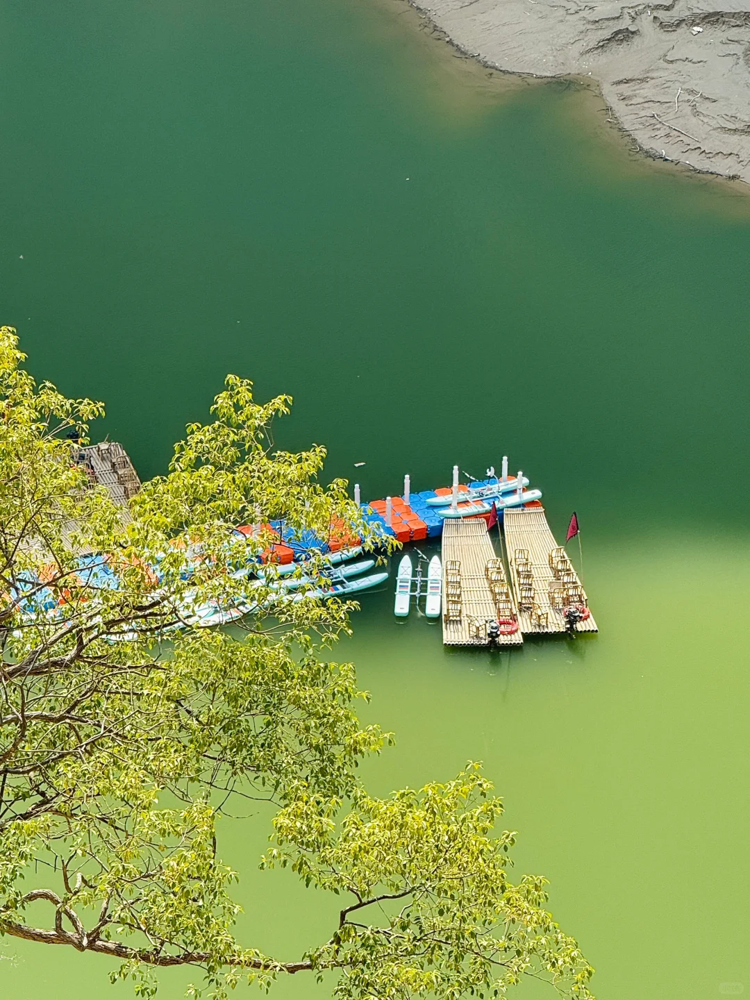 西安1h上春山!这里的春日限定美到犯规!