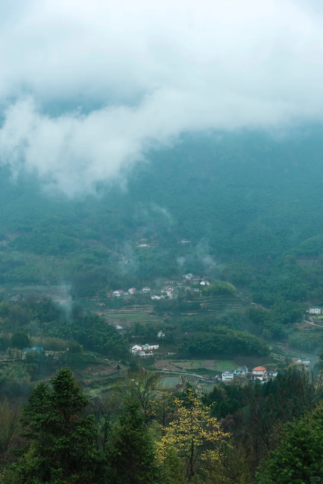 雷军都来打call:皖南这条天路有何魅力