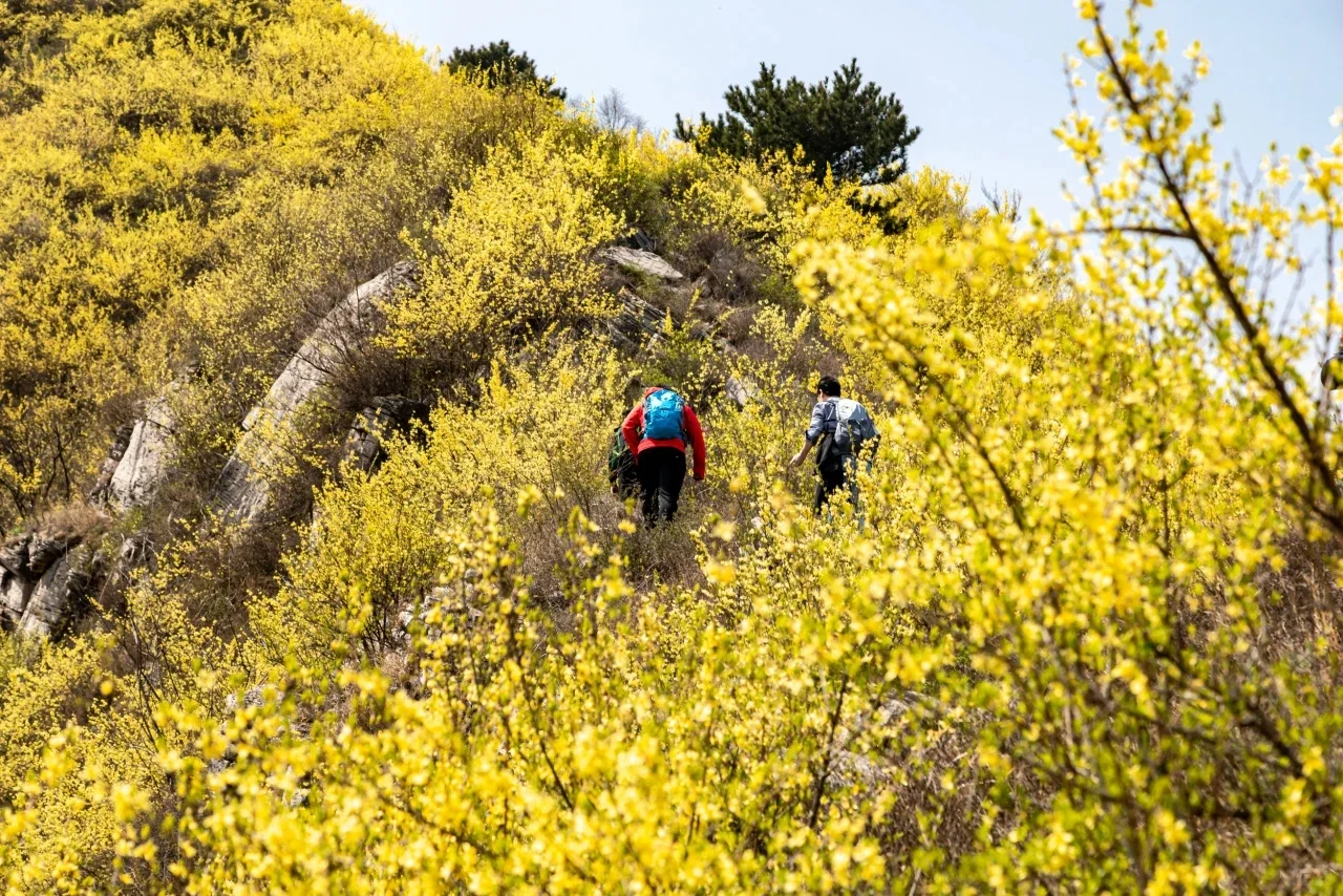 南太行封山，但其实太行山不只有南太行