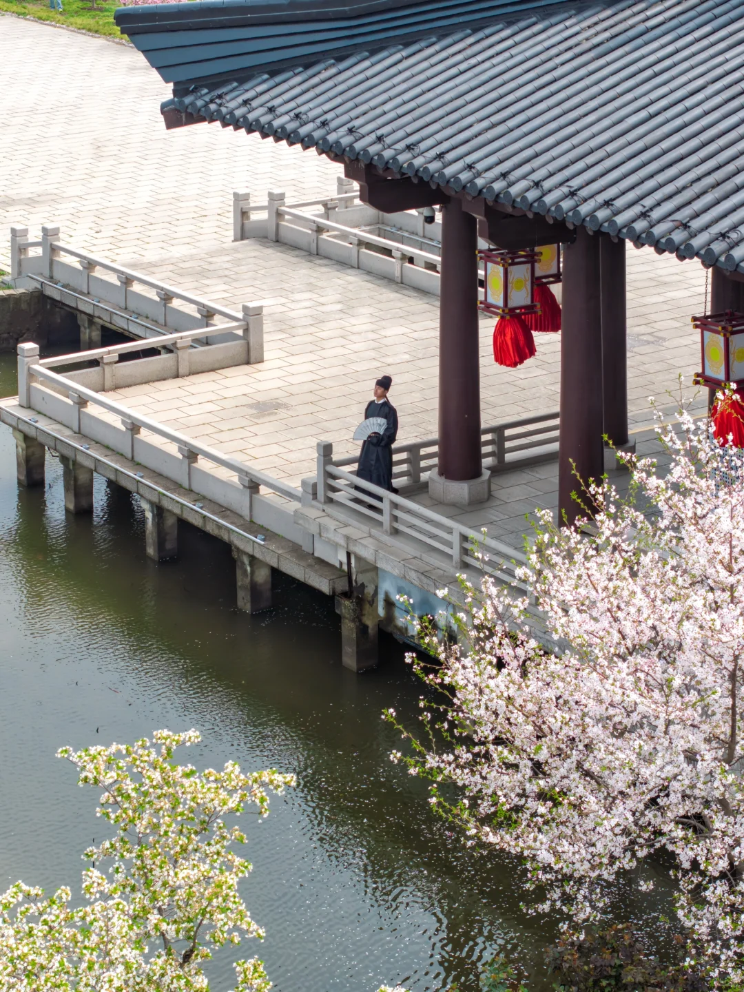 比起鼋头渚人挤人‼️我更爱这座樱花之城🌸