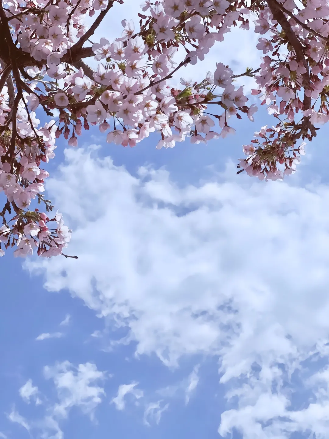 🌊 青岛旅游攻略｜3天2夜玩转红瓦绿树与碧海