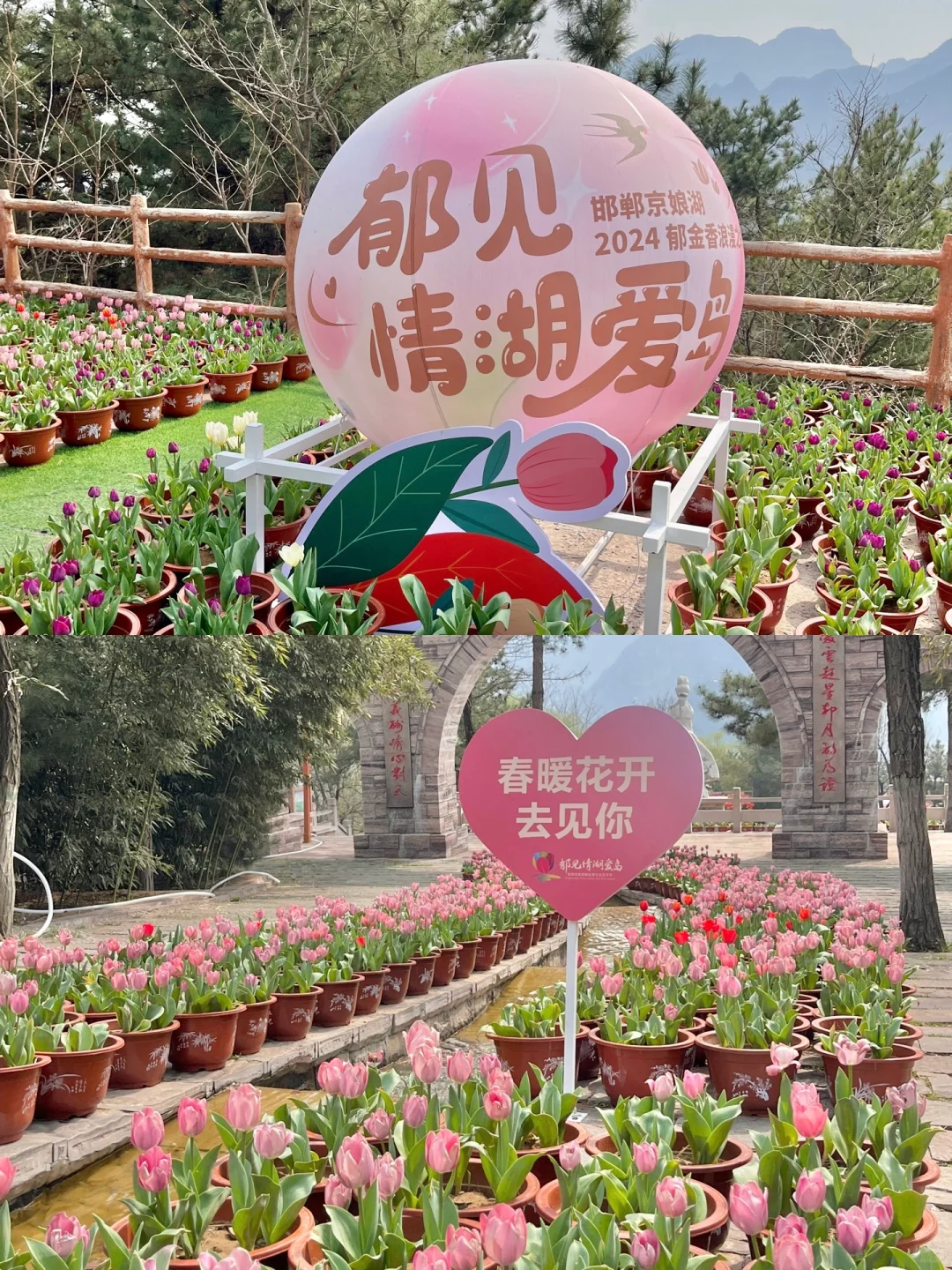 邢台周边一日游 懒人轻松爬山赏花攻略