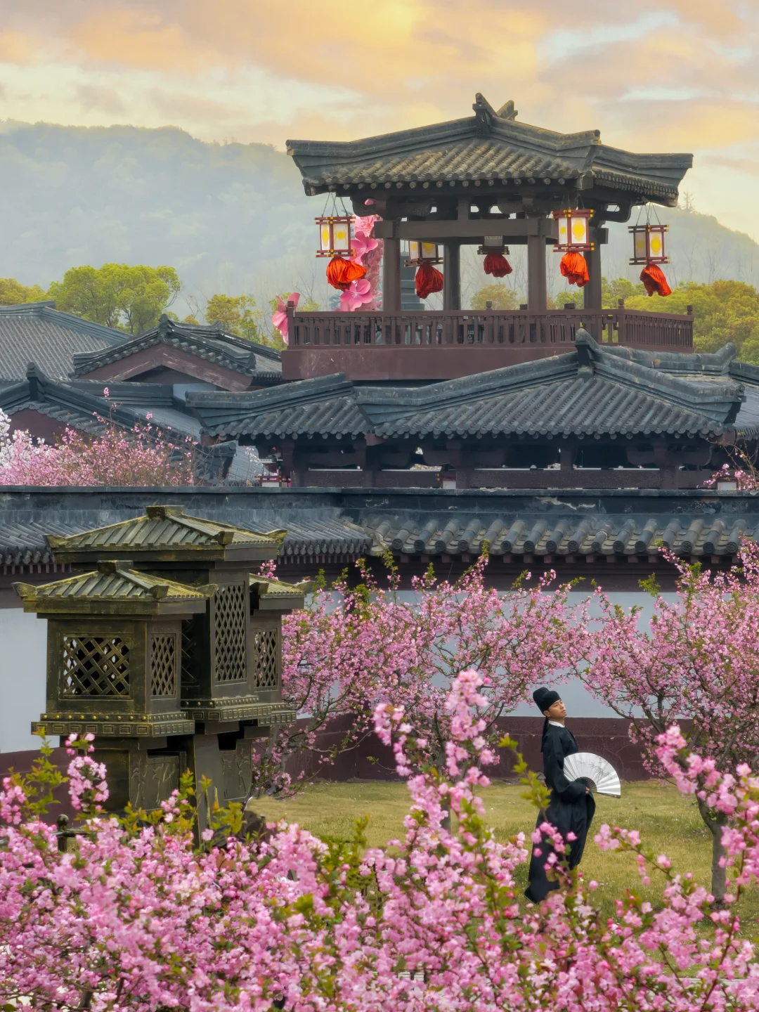 比起鼋头渚人挤人‼️我更爱这座樱花之城🌸