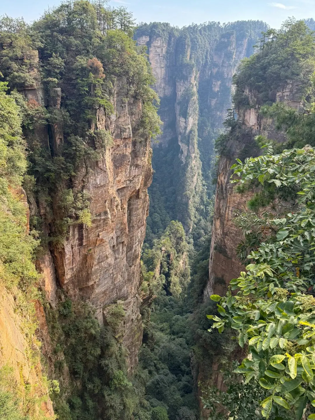 3月想来张家界的朋友！想好了再来！！