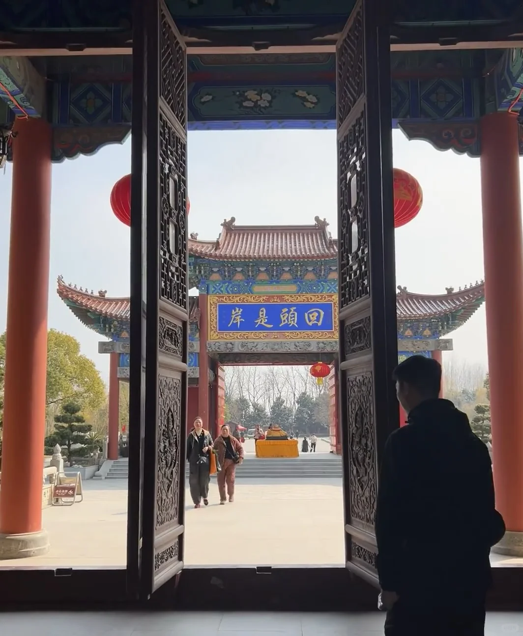 春风拂面 杨柳依依