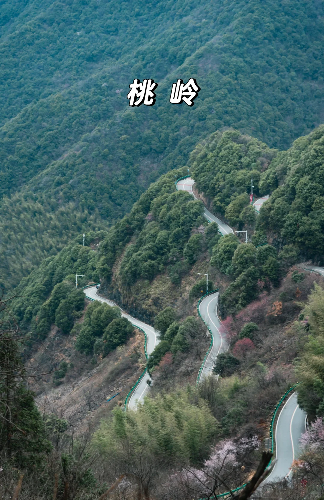 雷军都来打call:皖南这条天路有何魅力