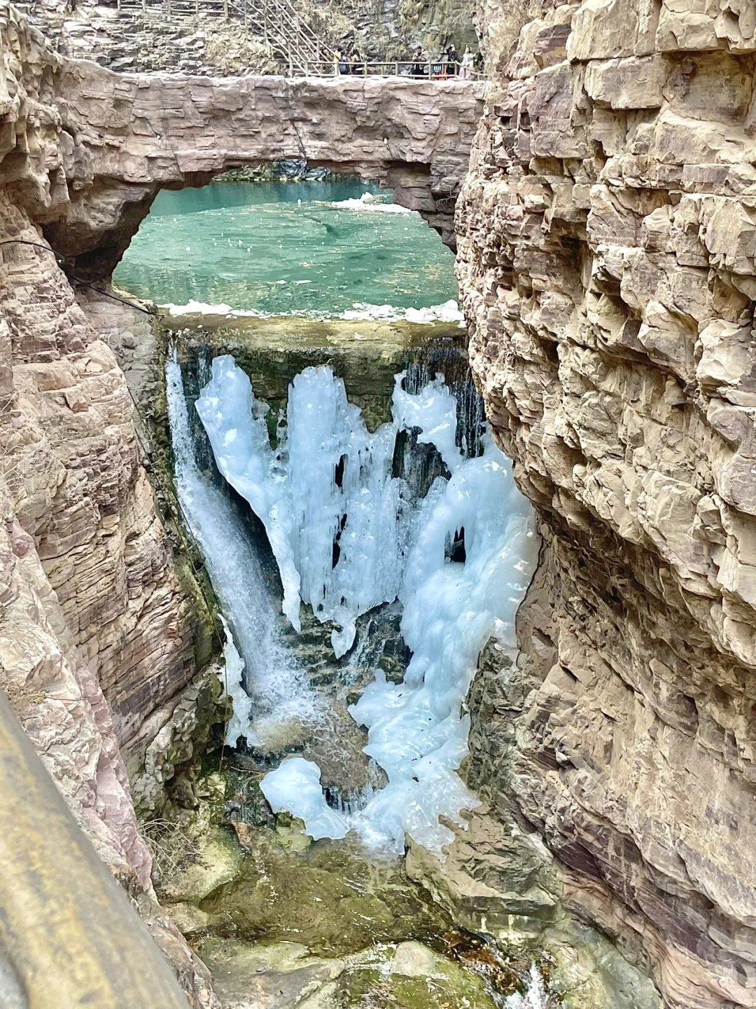 🌸 误入桃花谷,现实版仙侠世界!🌸