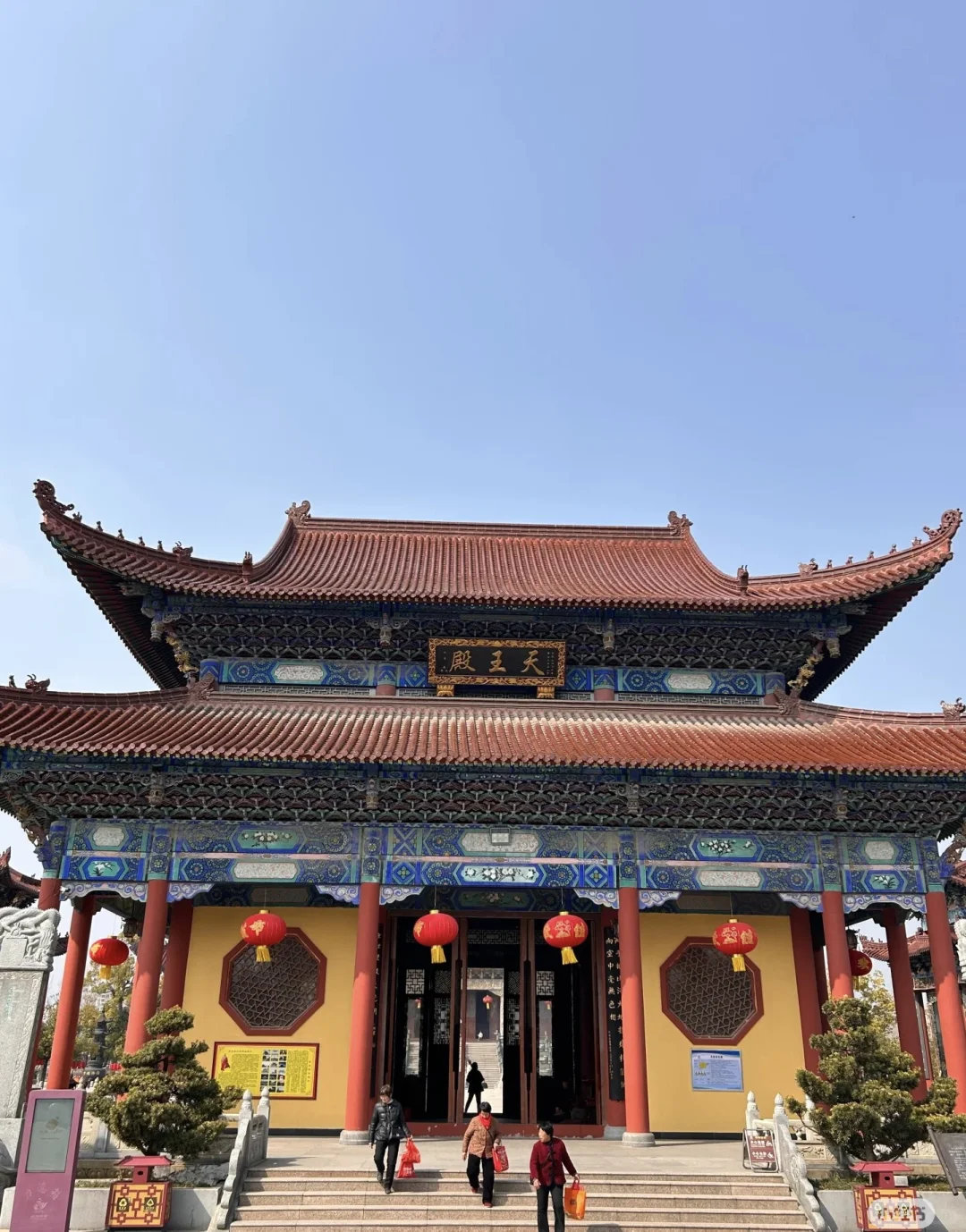 春风拂面 杨柳依依