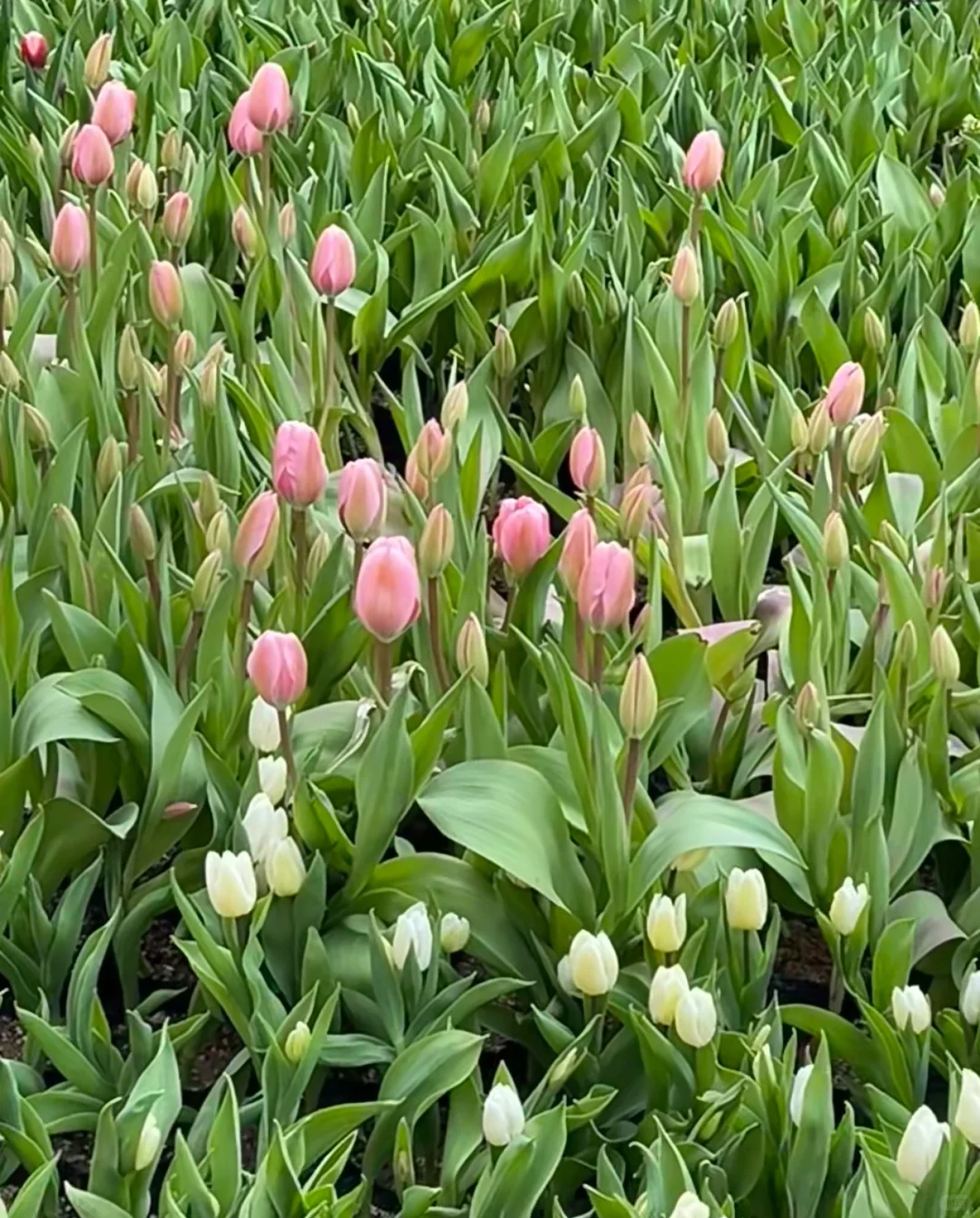 🔥此刻，地理不在书里⛰️