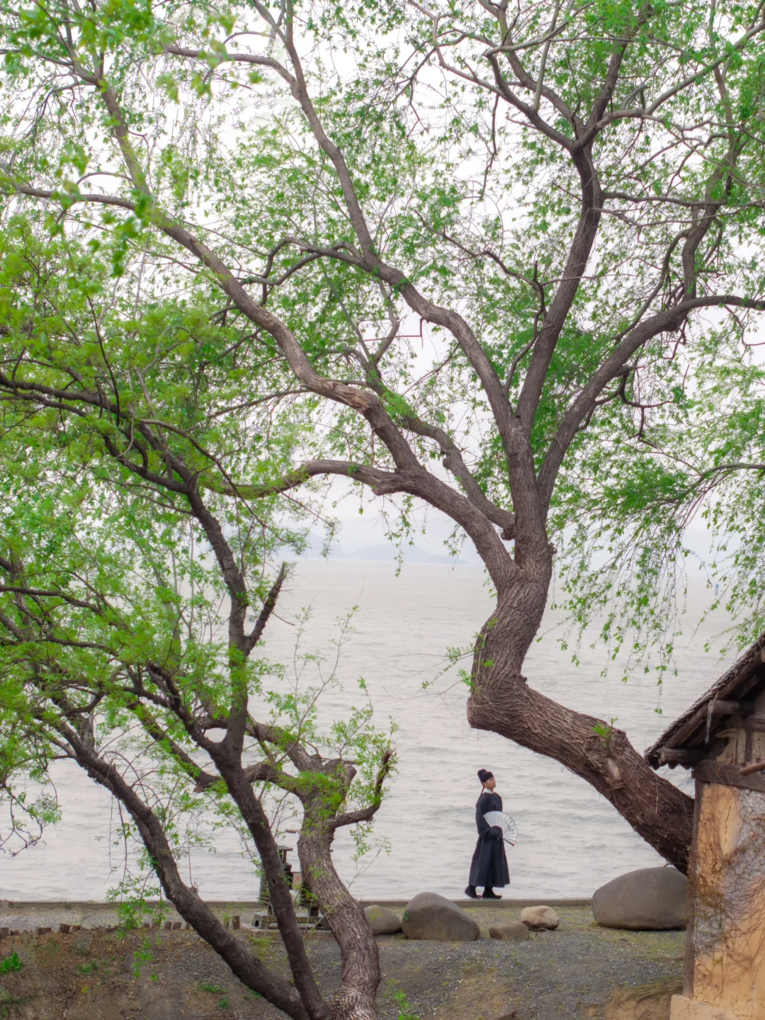 比起鼋头渚人挤人‼️我更爱这座樱花之城🌸