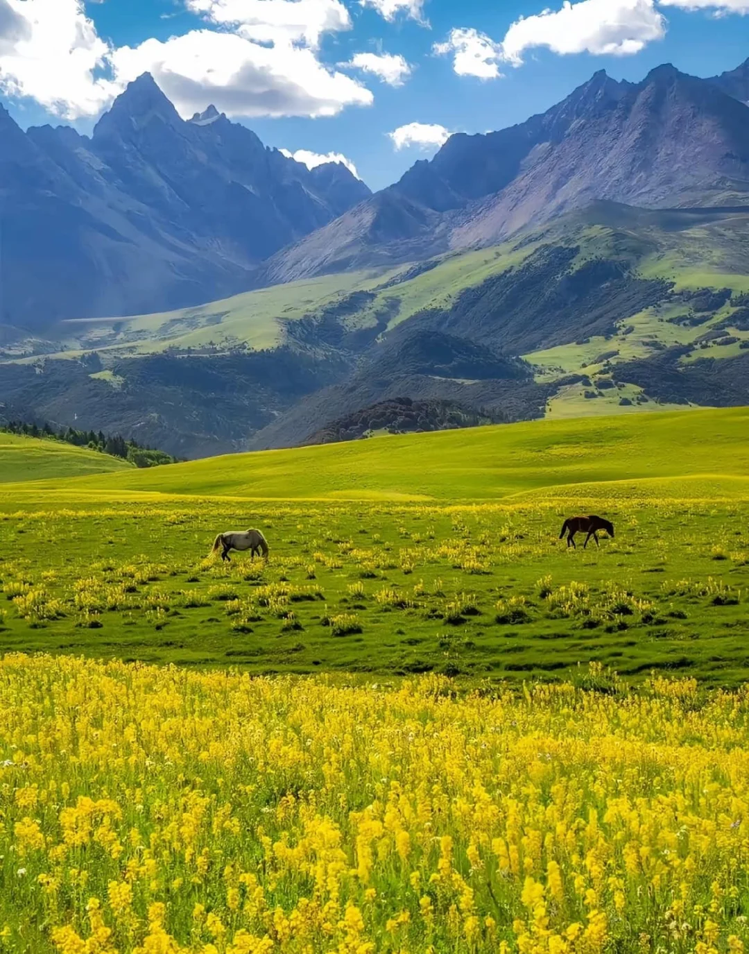 不出省也能森呼吸|国家公园全攻略