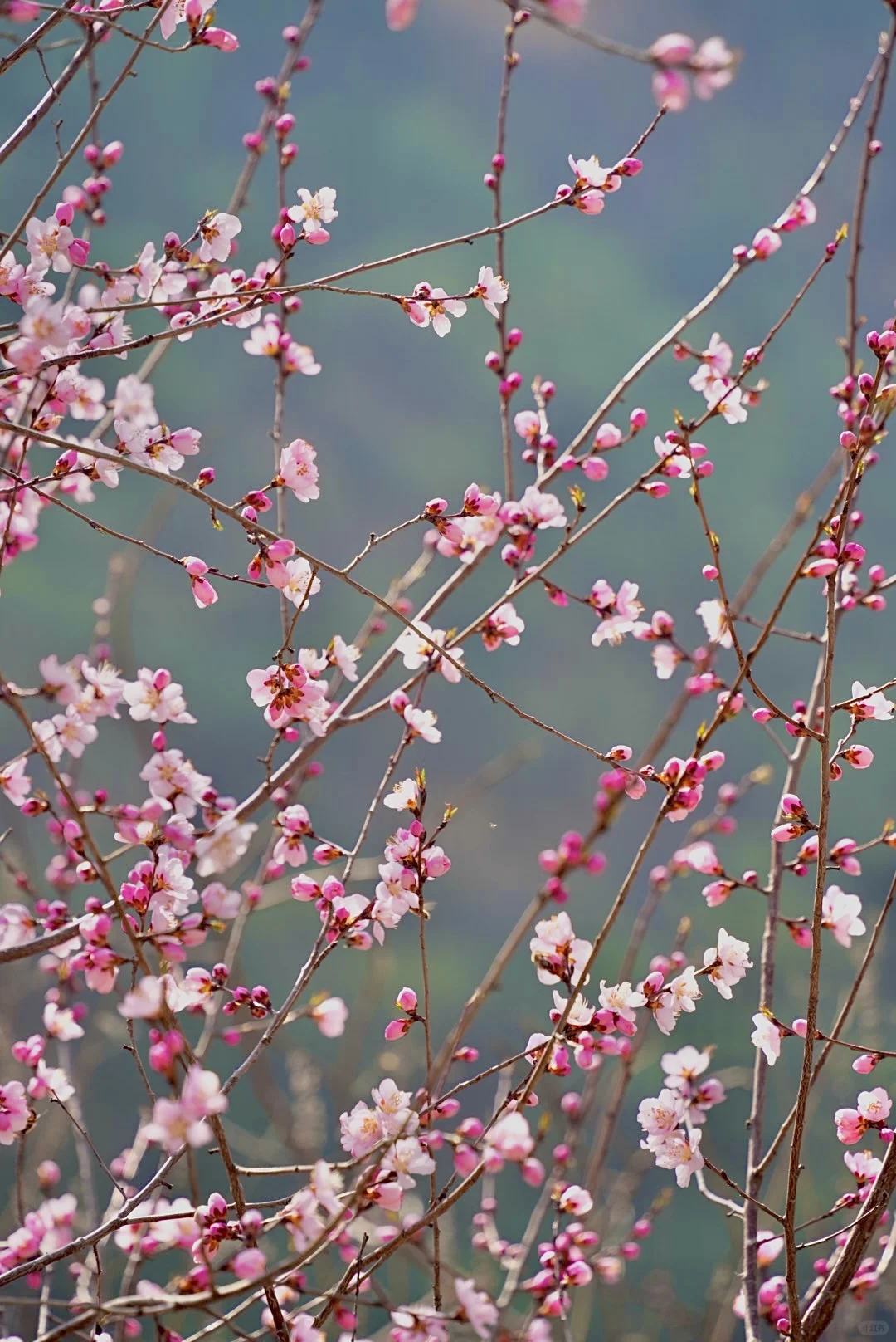 西安1h🚗直达桂林！好美内存拍爆了（附攻略