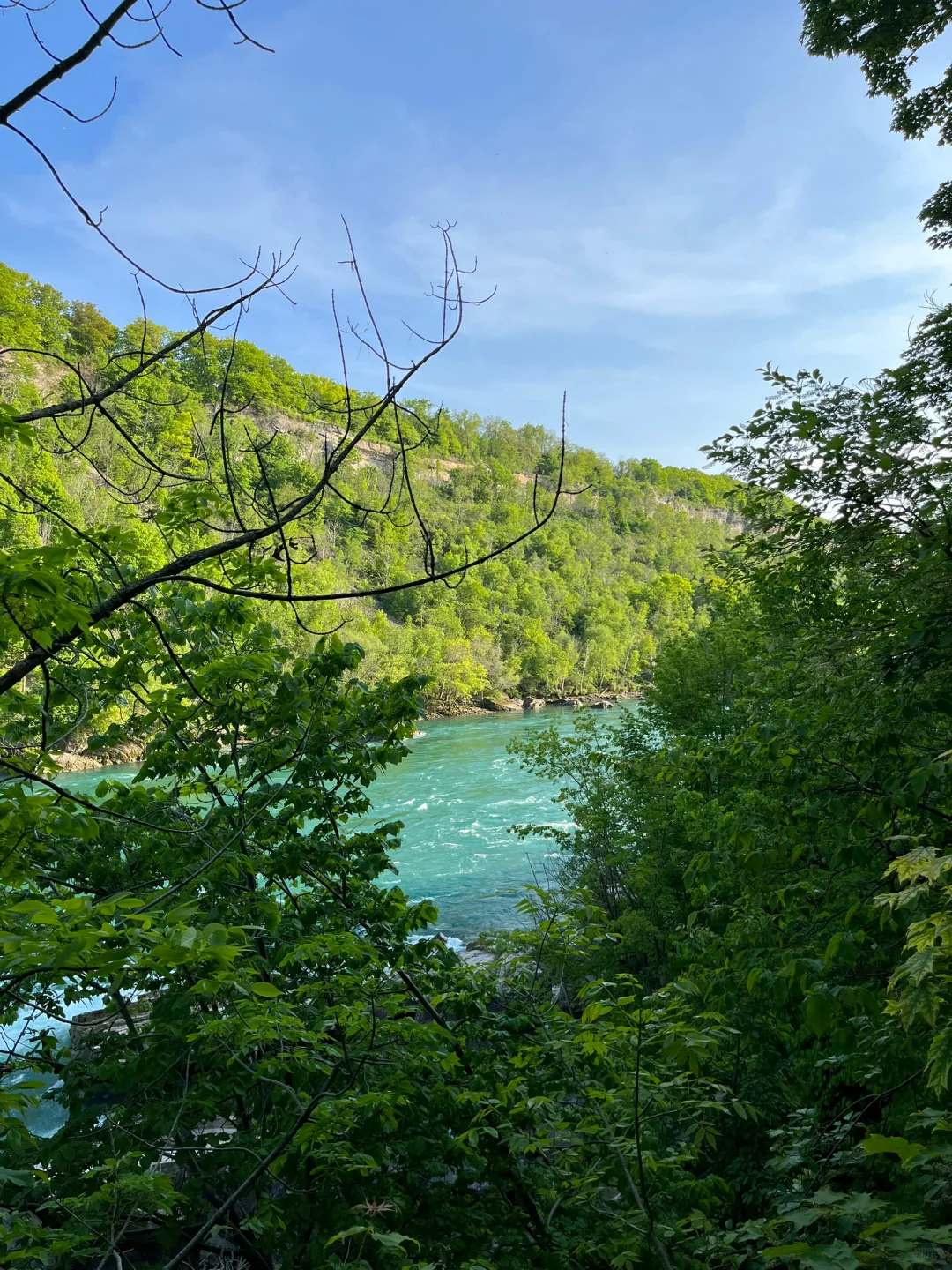 🇨🇦 Toronto · 周围景点红黑榜