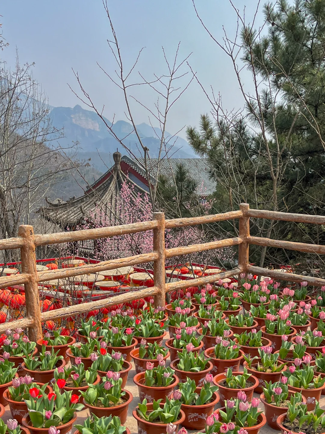 邢台周边一日游 懒人轻松爬山赏花攻略
