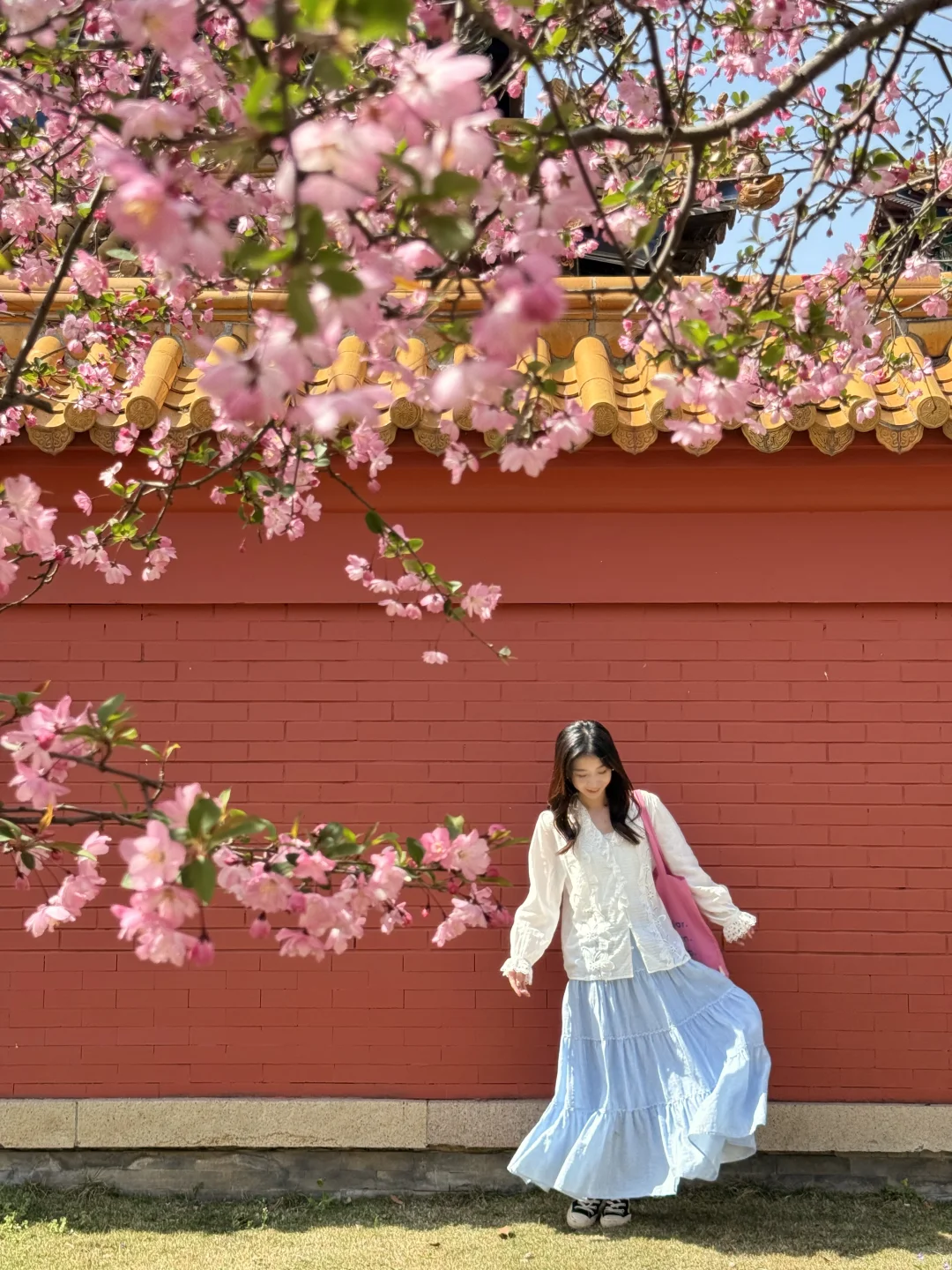 迄今为止最让我震撼的樱花寺庙出现了…