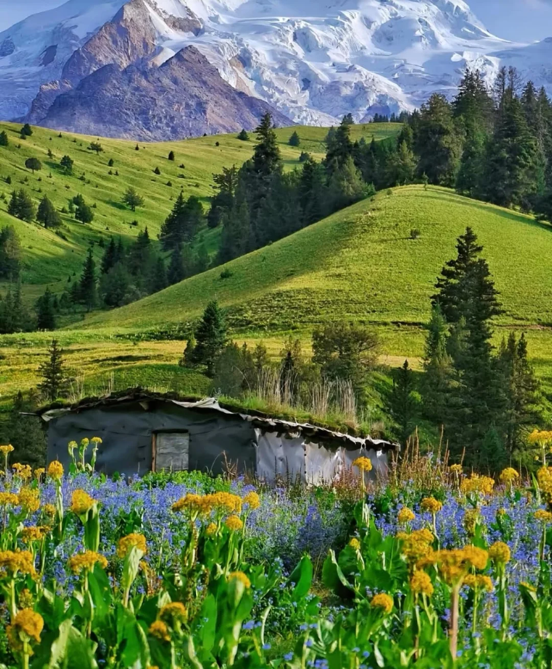 不出省也能森呼吸|国家公园全攻略