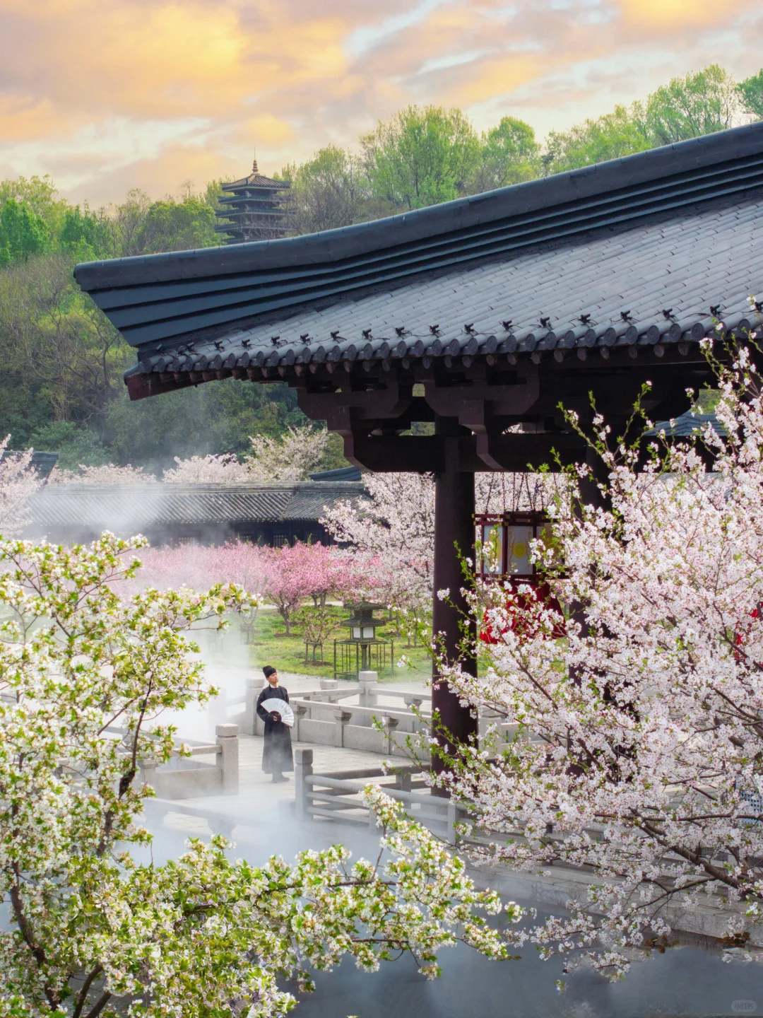 比起鼋头渚人挤人‼️我更爱这座樱花之城🌸
