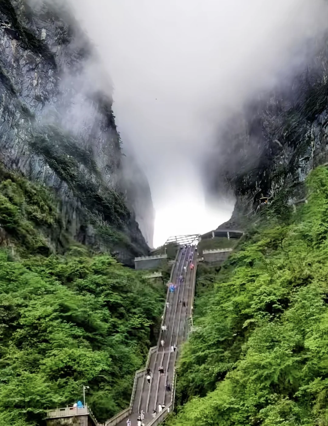 🌄张家界保姆级旅游攻略，小白必看