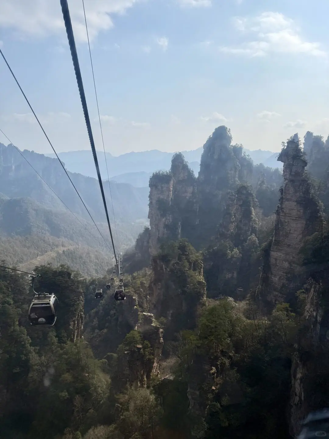 3月想来张家界的朋友！想好了再来！！