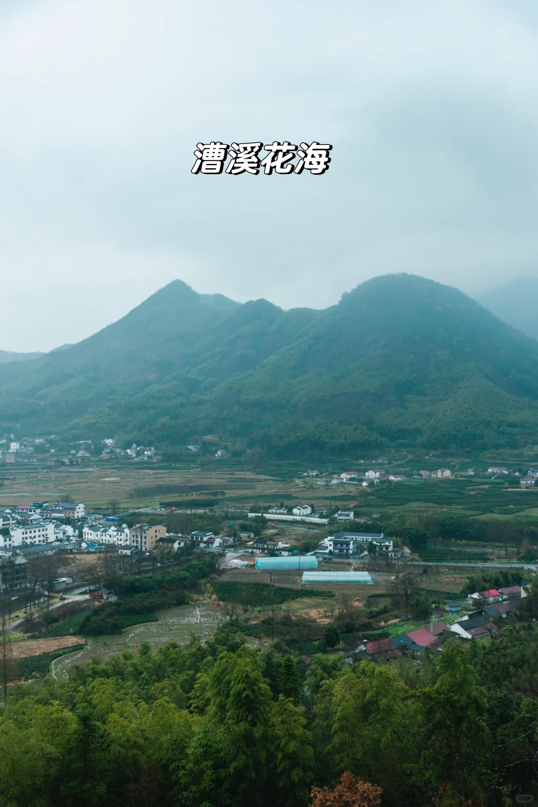 雷军都来打call:皖南这条天路有何魅力