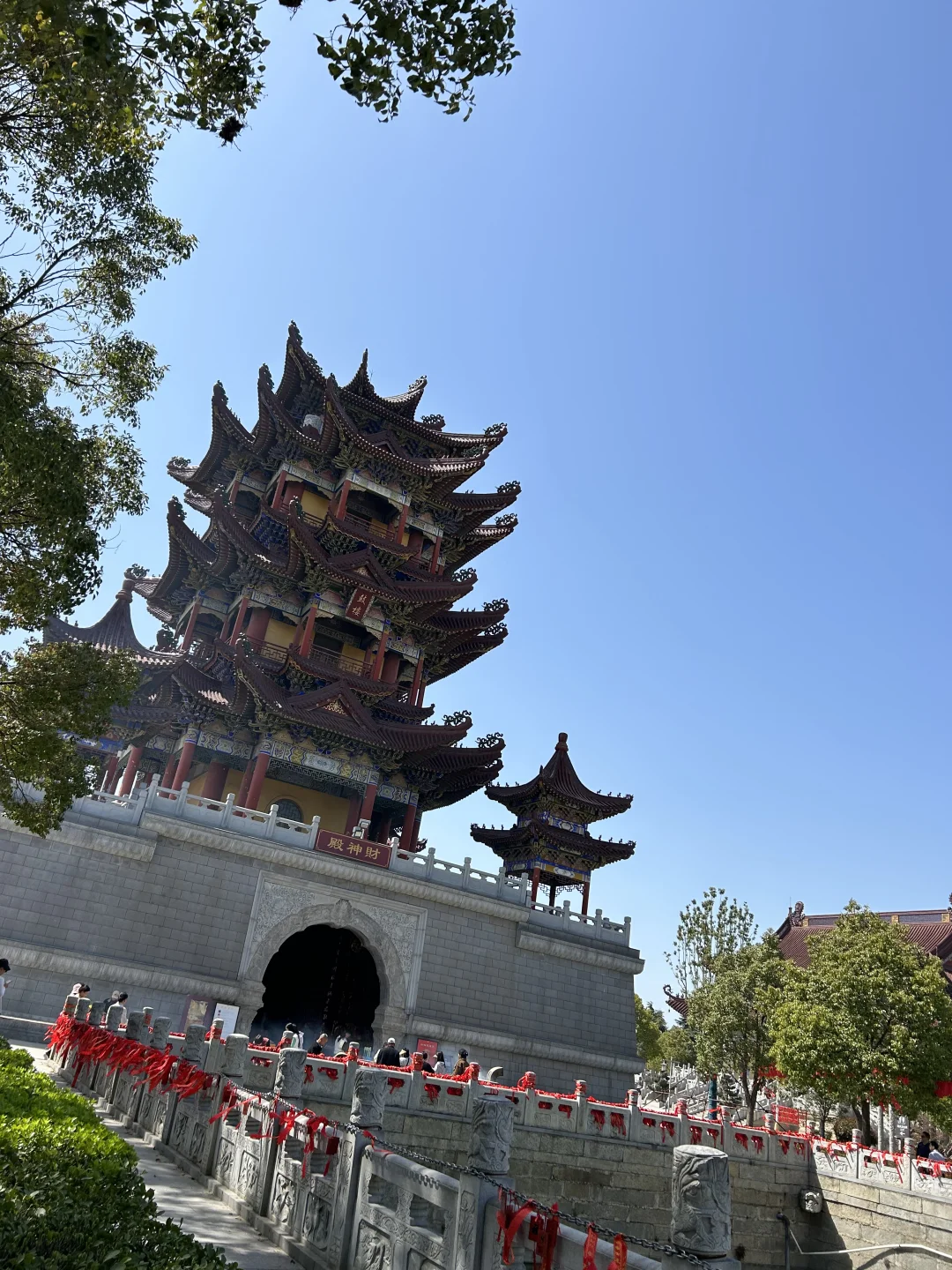 春风拂面 杨柳依依