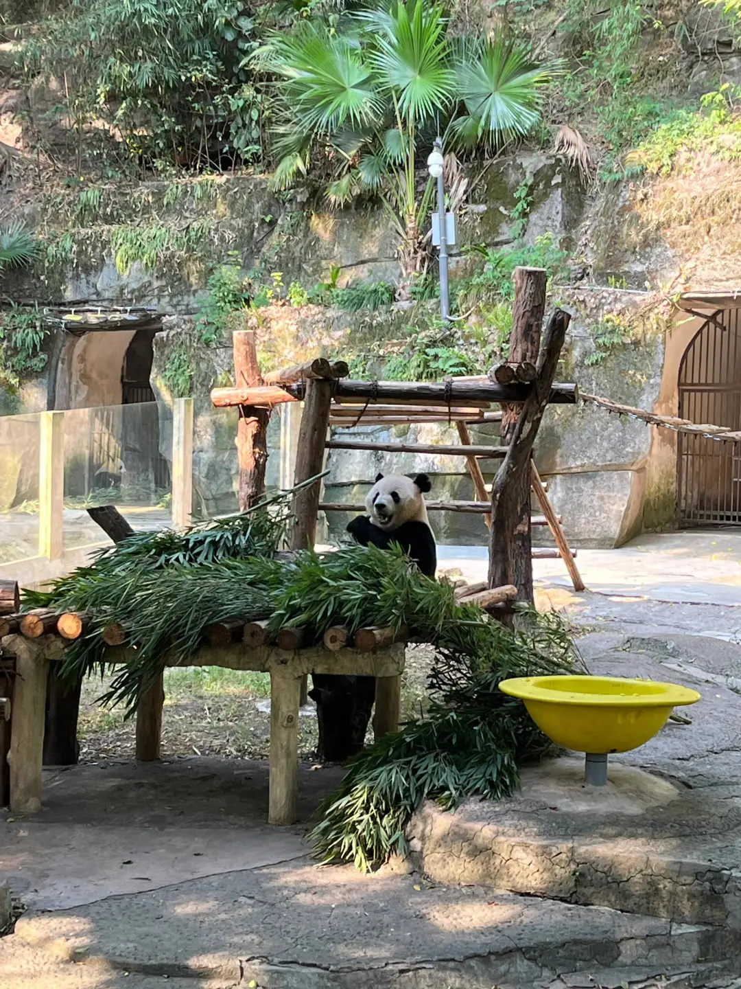 💯适合情侣💖打卡的10个“穷游”城市