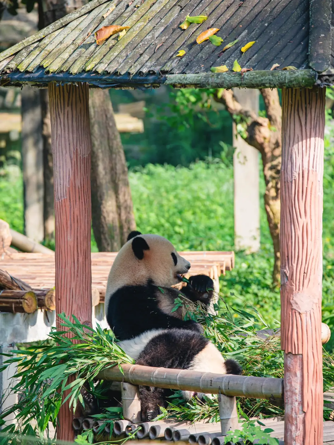 💯适合情侣💖打卡的10个“穷游”城市