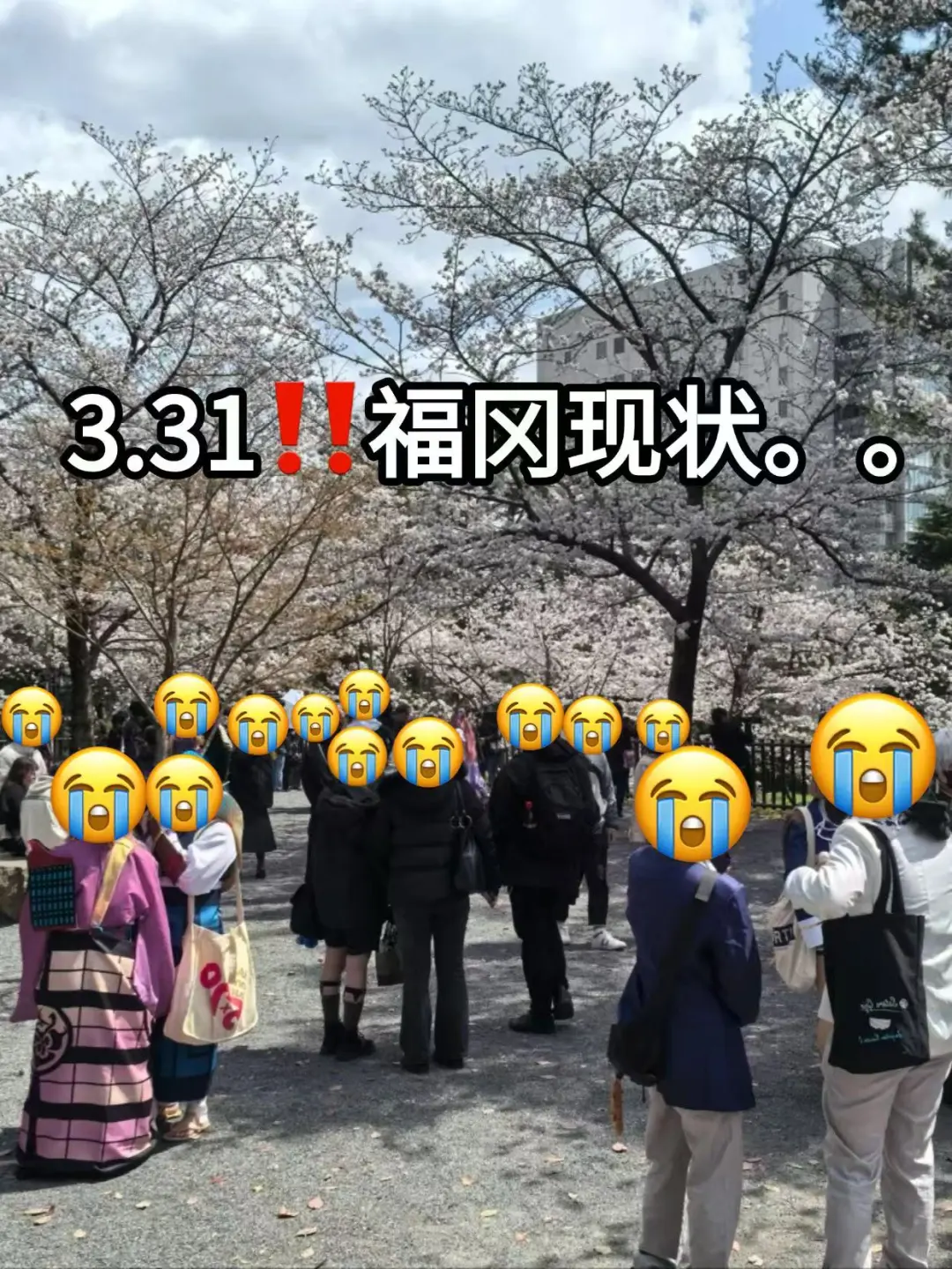 3.31福冈现状 不做旅游攻略，真的白来～