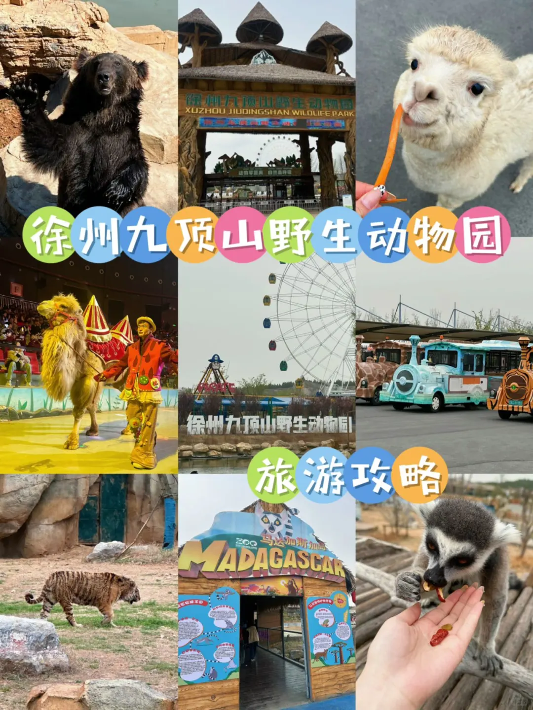 徐州｜九顶山野生动物园🦒旅游攻略来喽‼️
