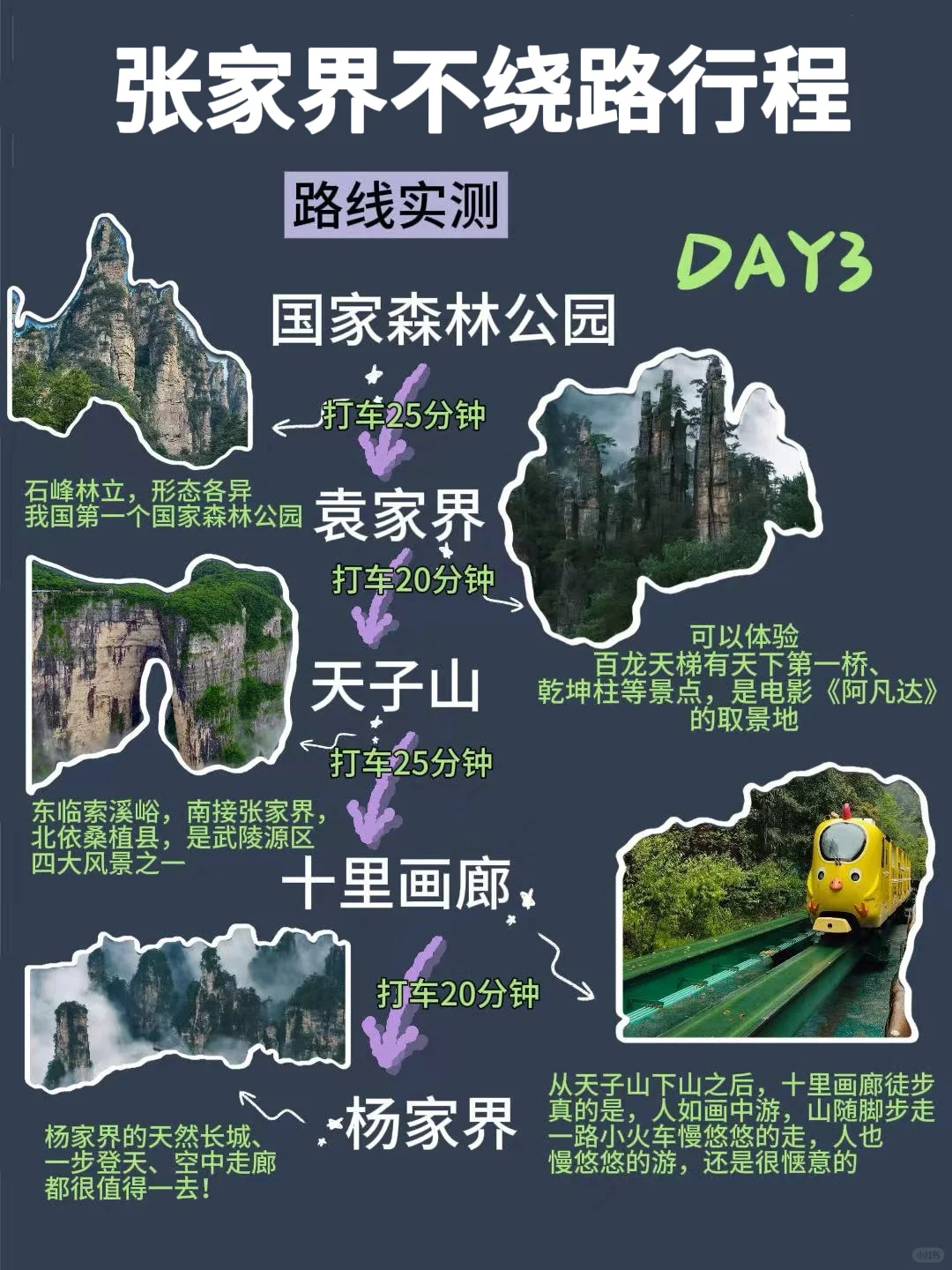 省心省力版❗张家界旅游攻略🤭拿走不谢