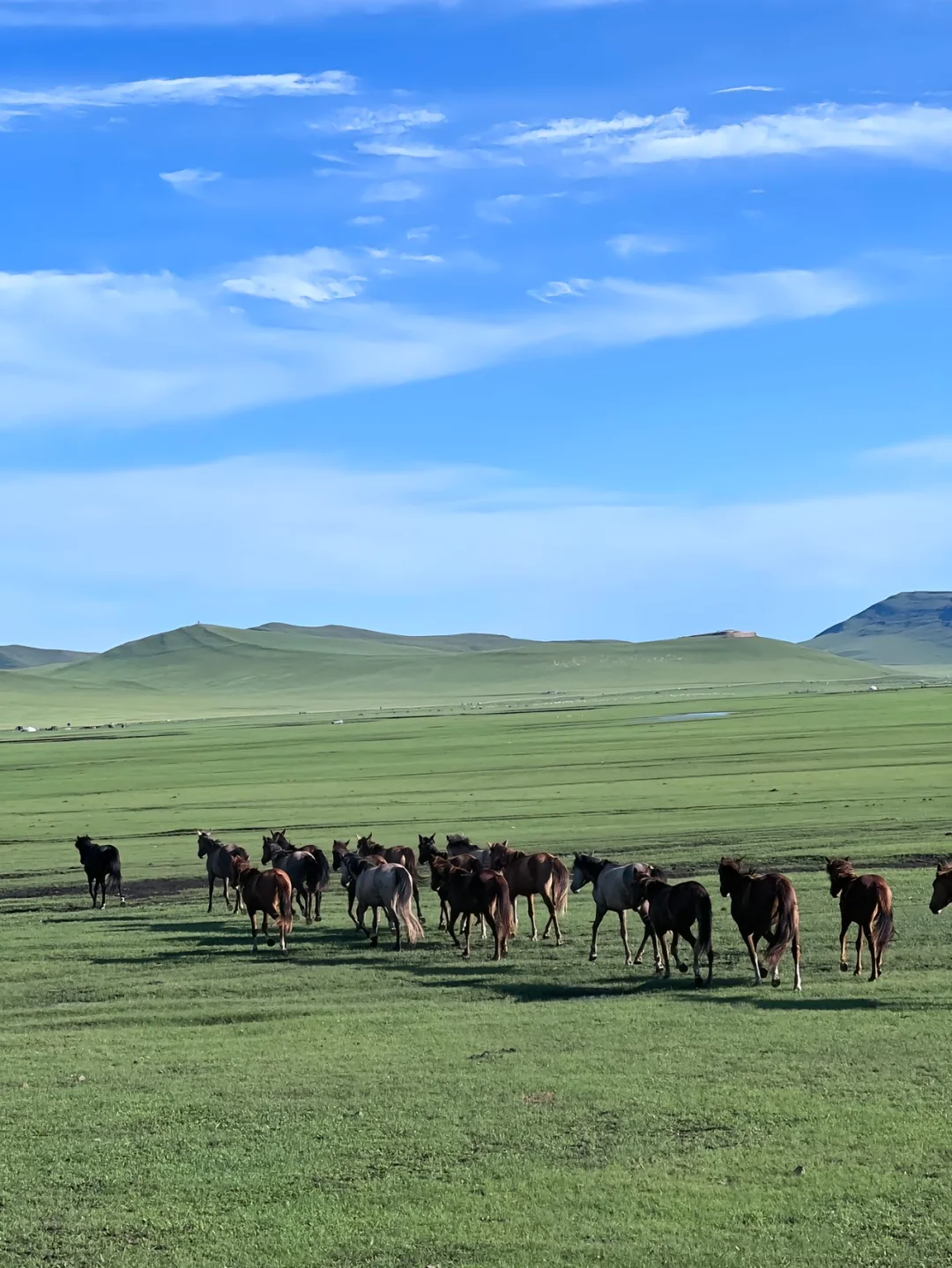 内蒙跟团已回，别拦着我说大实话（永不删）