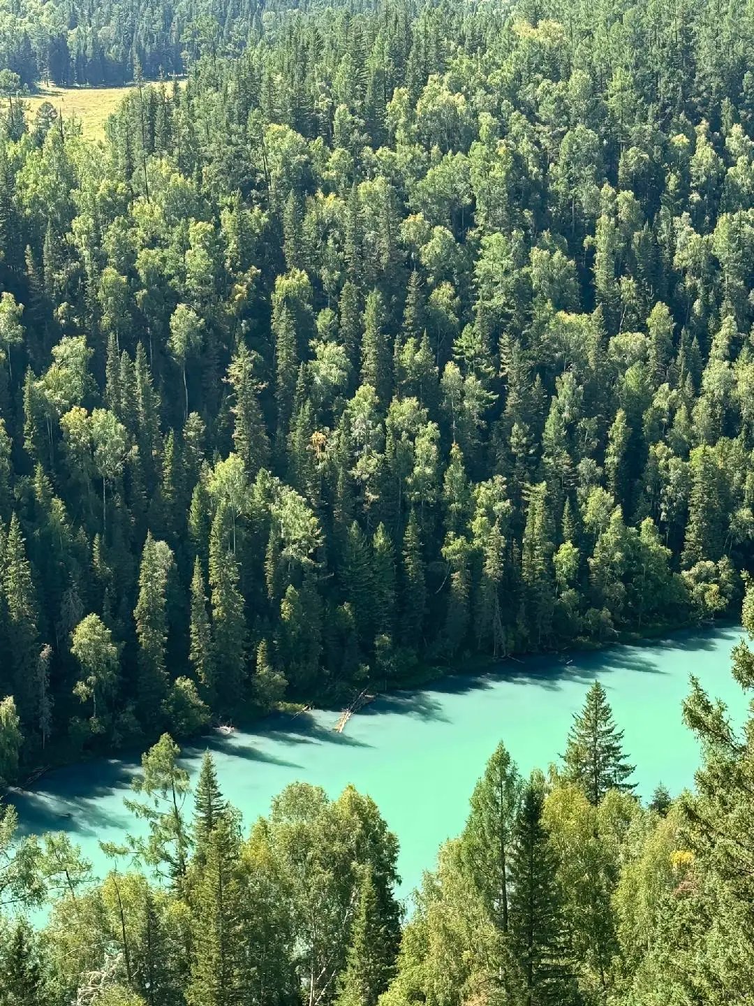 新疆跟团已回攻略分享，旅游就要这么玩才爽