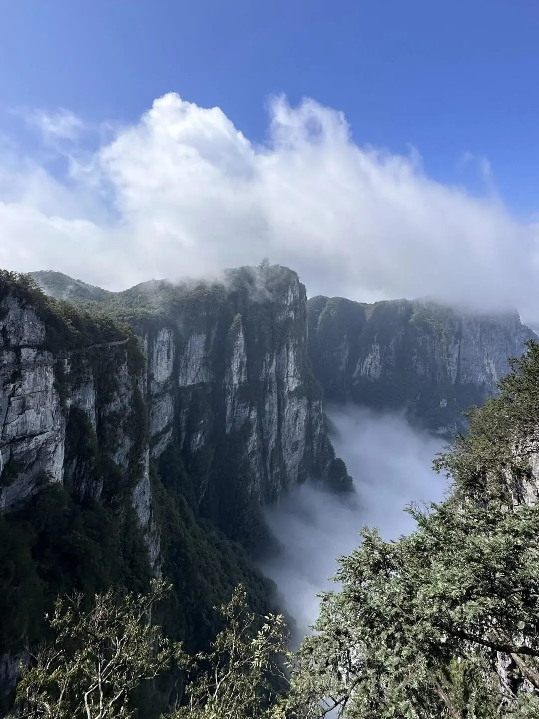 3.25📍张家界跟团旅游攻略不踩坑分享