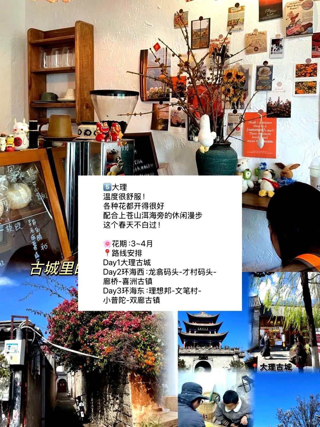 春游好去处🌼适合三到四月踏青的九座城市