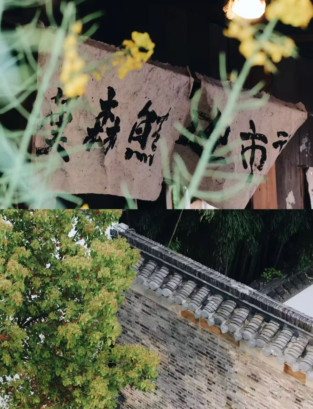 4-5月反向旅游6个小众目的地推荐👉🔥🔥